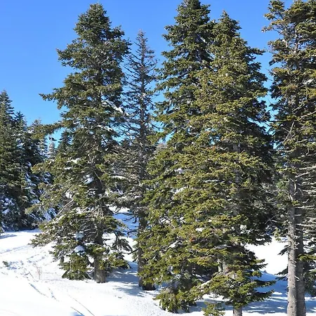 Fahri Отель Улудаг